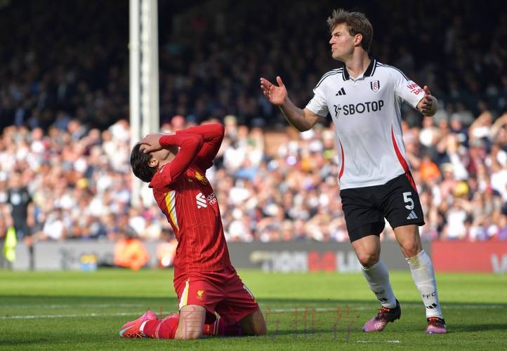 第20轮:富勒姆VS利物浦 第20轮:富勒姆VS利物浦