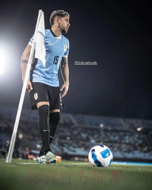 马卡:巴尔韦德因伤不会前往国家队 将留马德里恢复 马卡:巴尔韦德因伤不会前往国家队 将留马德里恢复